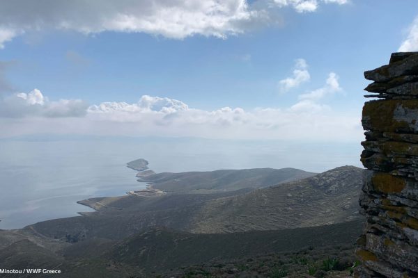 Στο βάθος το γλαρονήσι