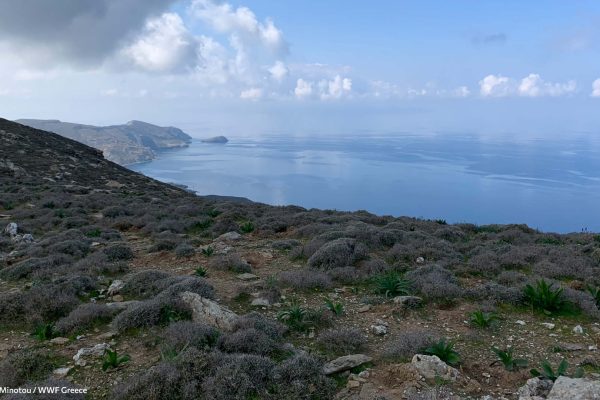 Η βραχονησίδα Φούης