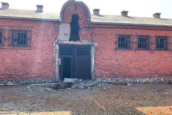 Η (δι)έξοδος από τον περιορισμό