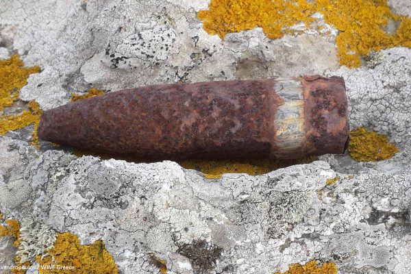 Οβίδα ως μάρτυρας του χρόνου