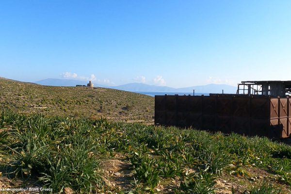 Η επόπτευση (και) των δεξαμενών