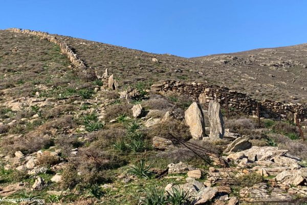 Η ξερολιθιά ως τοπόσημο στο ανάγλυφο της Γυάρο