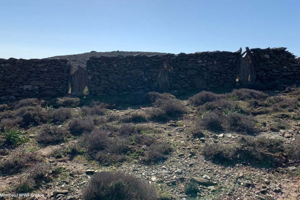 Ξερολιθιές ως σημείο αναφοράς της άυλης πολιτιστικής κληρονομιάς