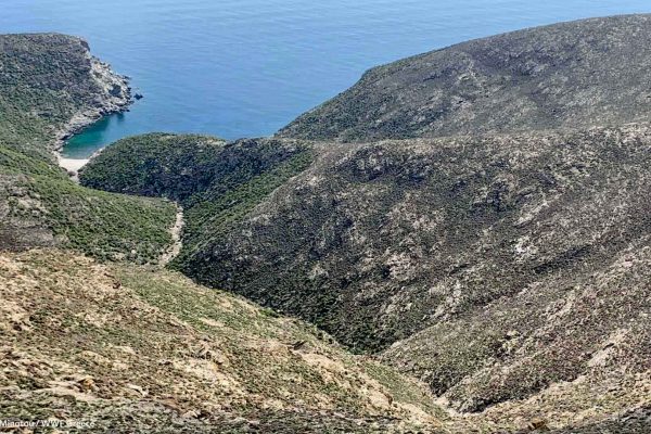 Ανάγλυφο Γυάρου και μικρή παραλία στη νότια πλευρά του νησιού