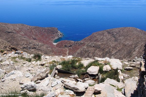 Φυσική πηγή και θέα προς μικρή παραλία