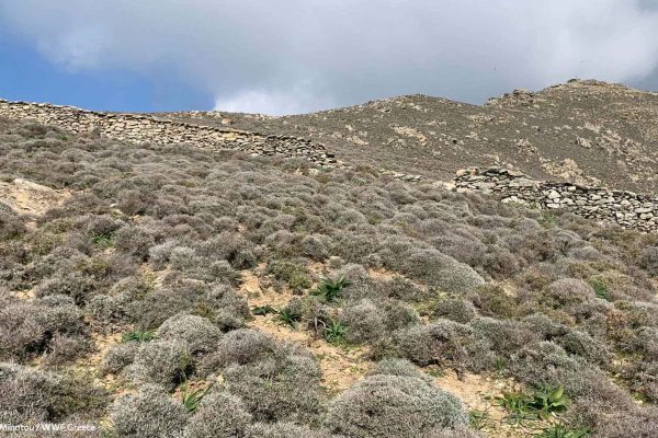 Τοπίο από την πηγή προς την κορυφή