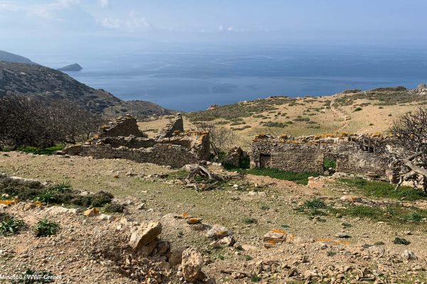 Ερείπια παλαιού οικισμού και θέα προς τη νησίδα Φούη