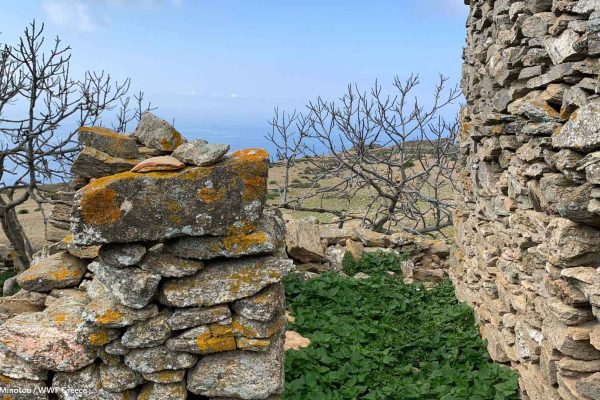 Θέα και βλάστηση στον παλαιό οικισμό