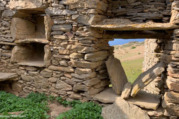 Παράθυρο και λεπτομέρειες κτιρίων παλαιού οικισμού