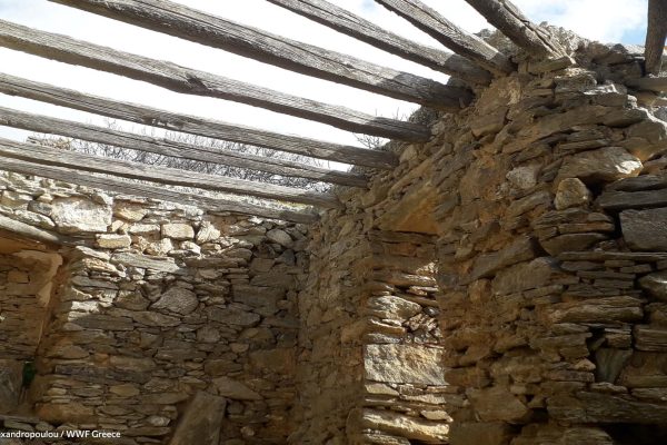 Σκεπή κτιρίων παλαιού οικισμού