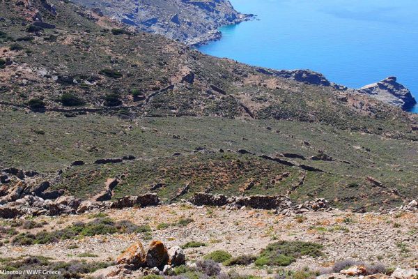 Ξερολιθιές και οριοθετήσεις ιδιοκτησιών και δραστηριοτήτων στη δυτική Γυάρο