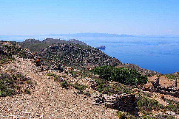 Ερείπια βοηθητικών κτισμάτων