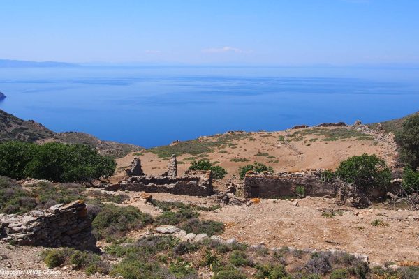 Ερείπια βοηθητικών κτισμάτων