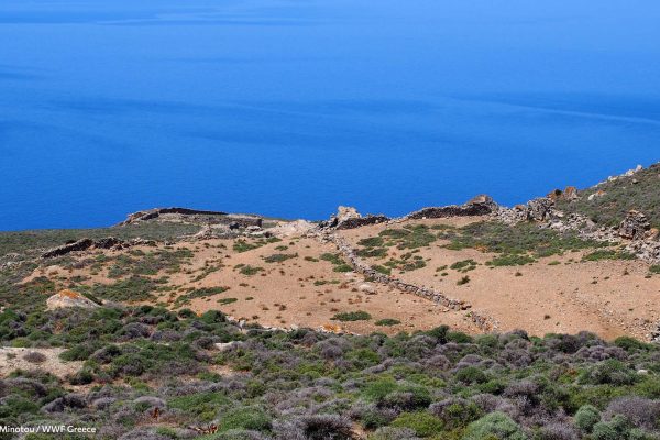 Το ανάγλυφο της δυτικής Γάρου και η βλάστηση την άνοιξη