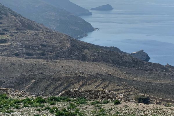 Ξερολιθιές και οριοθετήσεις ιδιοκτησιών και δραστηριοτήτων στη δυτική Γυάρο