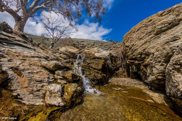 Ο καταρράκτης της ρεματιάς