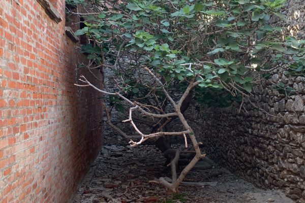 Βιβλιοθήκη Aπομόνωση Φυλακή-4