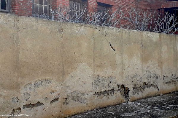 Βιβλιοθήκη Aπομόνωση Φυλακή-5