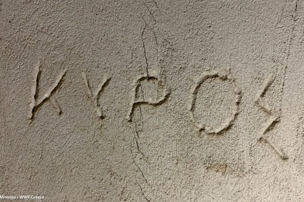 Βιβλιοθήκη Aπομόνωση Φυλακή-6