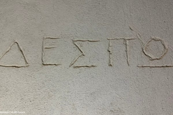 Βιβλιοθήκη Aπομόνωση Φυλακή-7