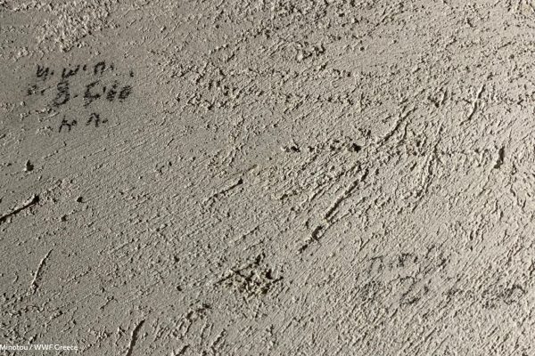 Βιβλιοθήκη Aπομόνωση Φυλακή-9