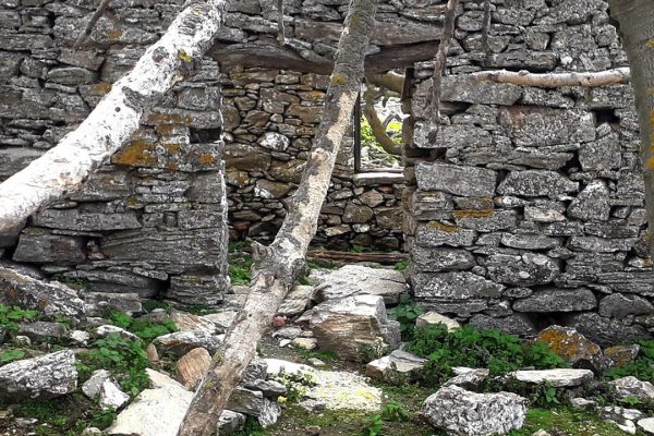 Βιβλιοθήκη Eρείπια15