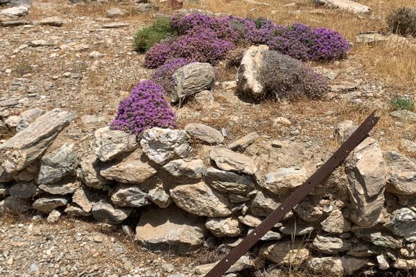 Βιβλιοθήκη Eρείπια8