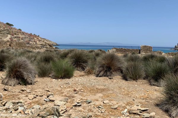 Βιβλιοθήκη Xαρίκλεια Xλωρίδα-1