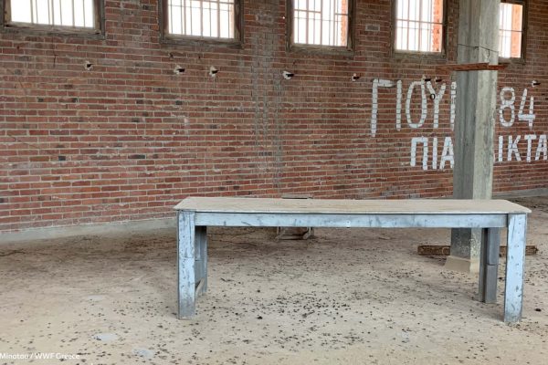 Βιβλιοθήκη Ίχνη και Μνήμες-12