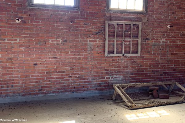 Βιβλιοθήκη Ίχνη και Μνήμες-13