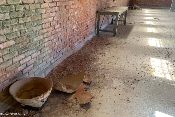 Βιβλιοθήκη Ίχνη και Μνήμες-14