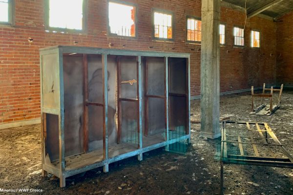 Βιβλιοθήκη Ίχνη και Μνήμες-15