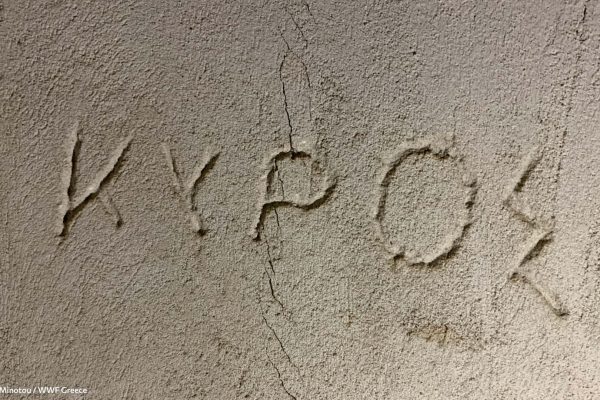 Βιβλιοθήκη Ίχνη και Μνήμες-17