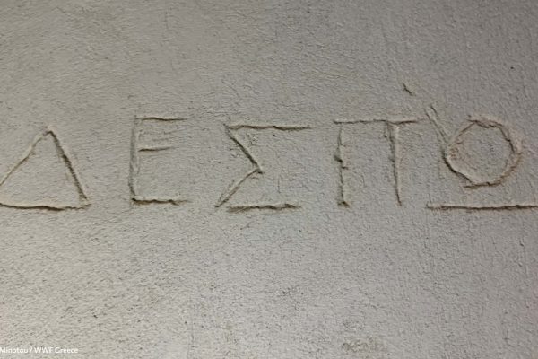 Βιβλιοθήκη Ίχνη και Μνήμες-18