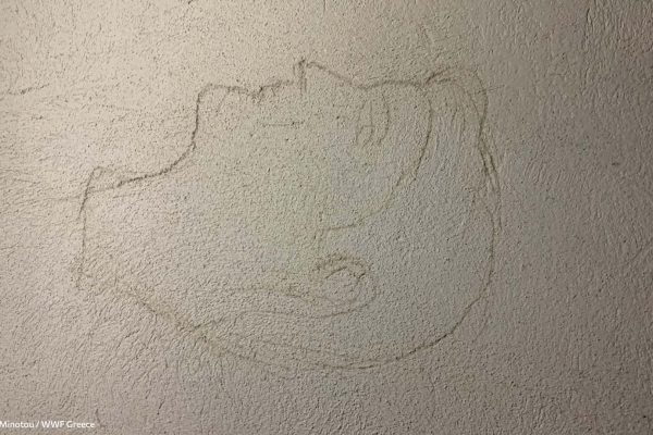 Βιβλιοθήκη Ίχνη και Μνήμες-19