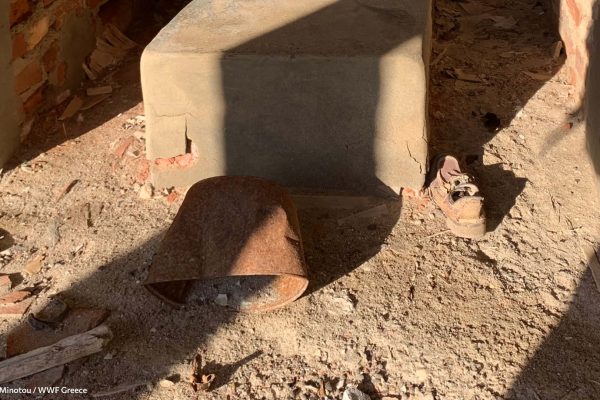 Βιβλιοθήκη Ίχνη και Μνήμες-2