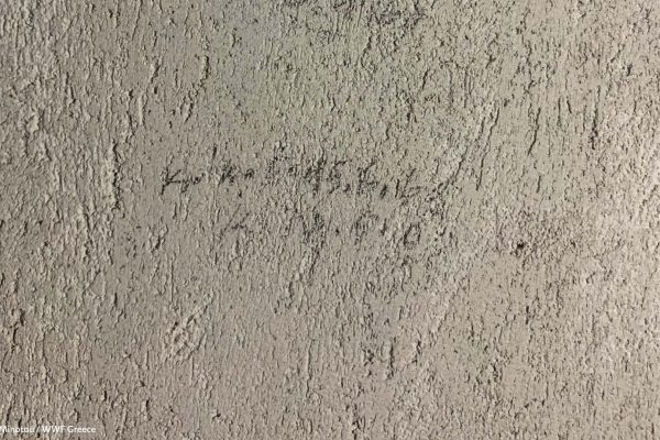 Βιβλιοθήκη Ίχνη και Μνήμες-20