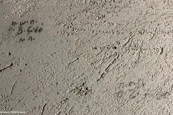 Βιβλιοθήκη Ίχνη και Μνήμες-22