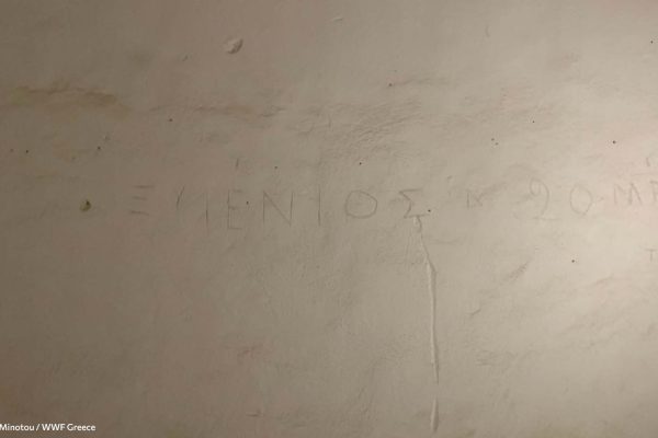 Βιβλιοθήκη Ίχνη και Μνήμες-24