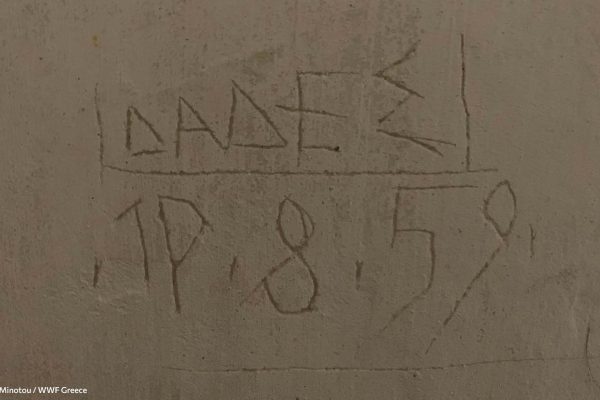 Βιβλιοθήκη Ίχνη και Μνήμες-25