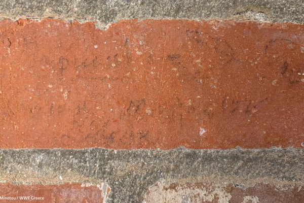 Βιβλιοθήκη Ίχνη και Μνήμες-26