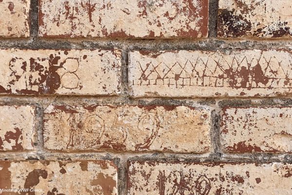 Βιβλιοθήκη Ίχνη και Μνήμες-27