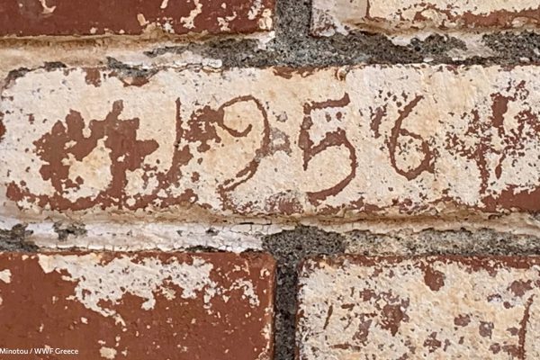 Βιβλιοθήκη Ίχνη και Μνήμες-28