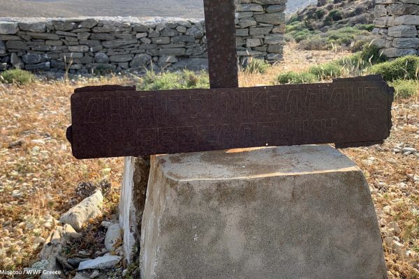 Βιβλιοθήκη Ίχνη και Μνήμες-30