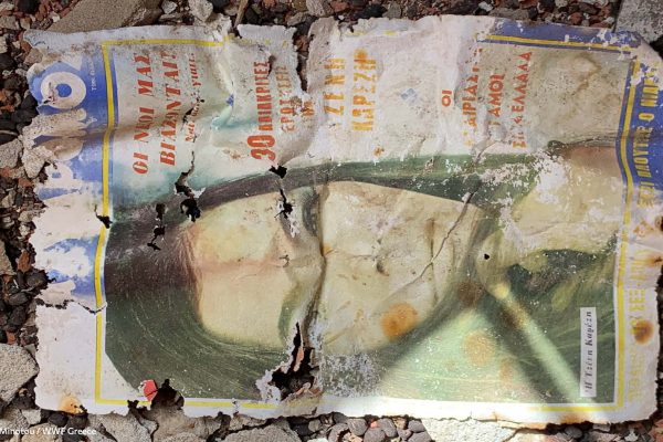 Βιβλιοθήκη Ίχνη και Μνήμες-4