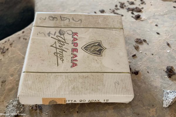 Βιβλιοθήκη Ίχνη και Μνήμες-6