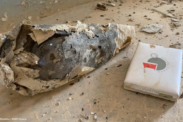 Βιβλιοθήκη Ίχνη και Μνήμες-8