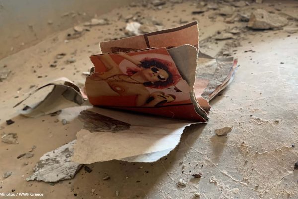 Βιβλιοθήκη Ίχνη και Μνήμες-9