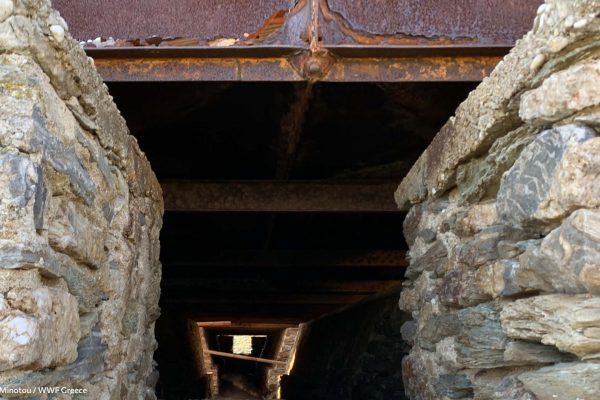 Βιβλιοθήκη Σκουριά-1 Βιβλιοθήκη Σκουριά-1 Βιβλιοθήκη Σκουριά-1