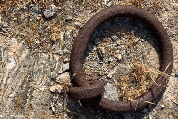 Βιβλιοθήκη Σκουριά-10